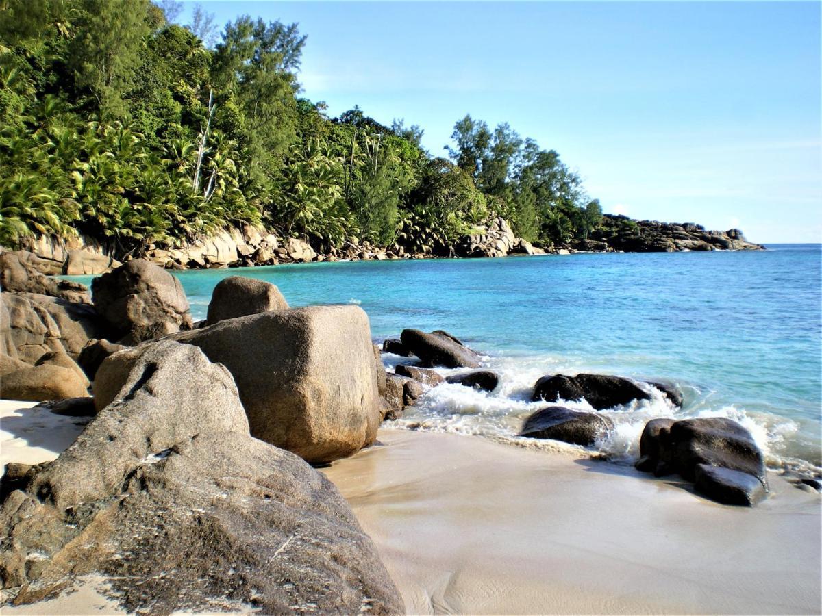 Seychelles Yellow Petals Anse Boileau Εξωτερικό φωτογραφία