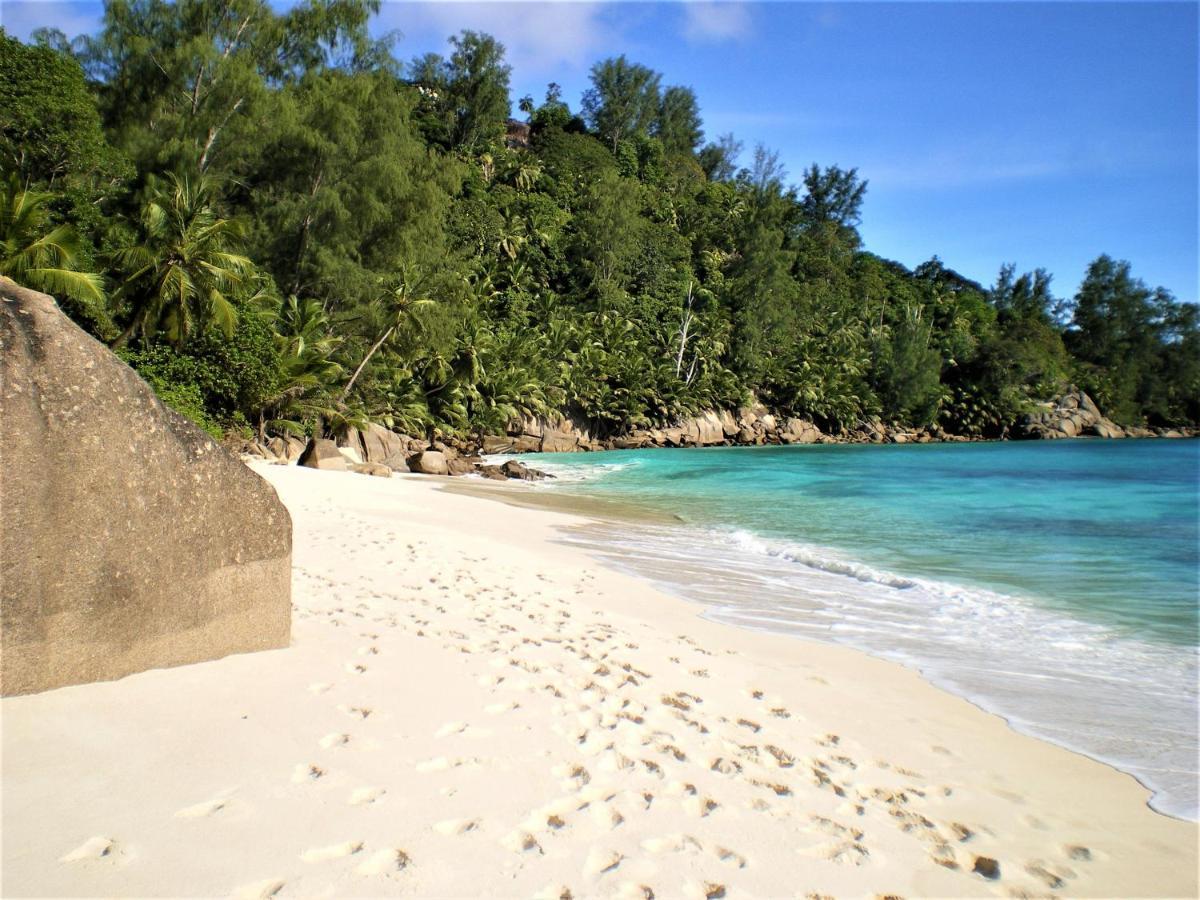 Seychelles Yellow Petals Anse Boileau Εξωτερικό φωτογραφία