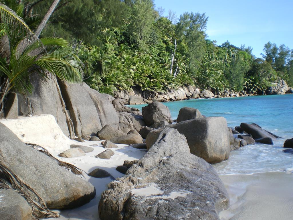 Seychelles Yellow Petals Anse Boileau Εξωτερικό φωτογραφία