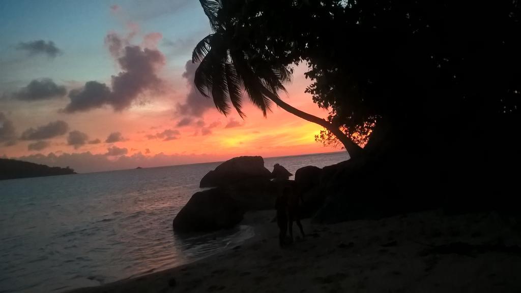 Seychelles Yellow Petals Anse Boileau Εξωτερικό φωτογραφία