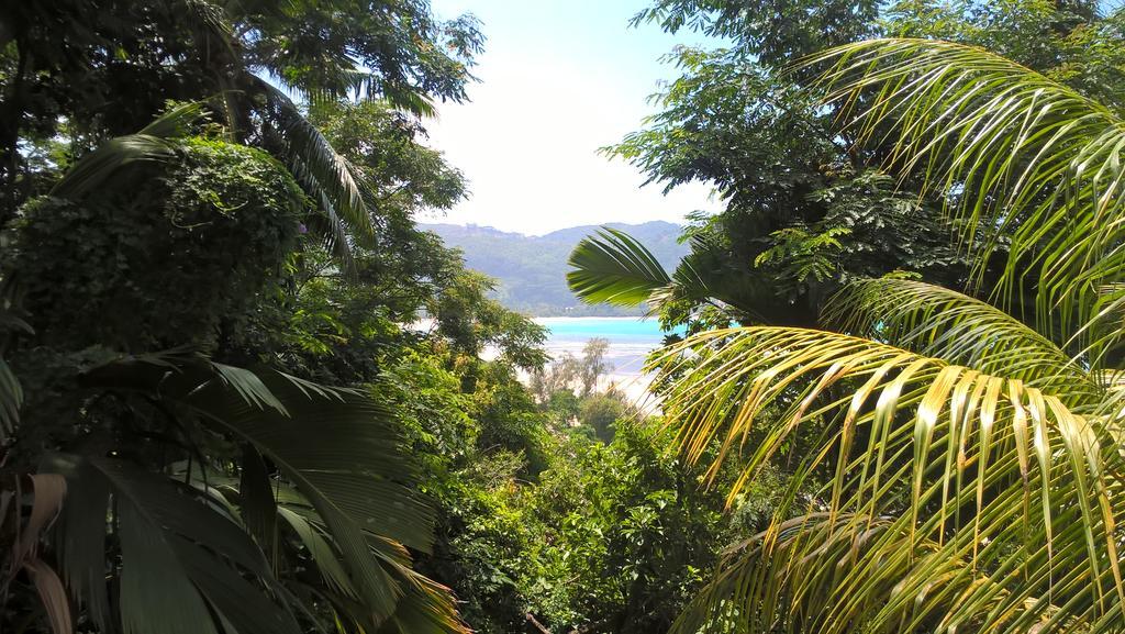 Seychelles Yellow Petals Anse Boileau Εξωτερικό φωτογραφία
